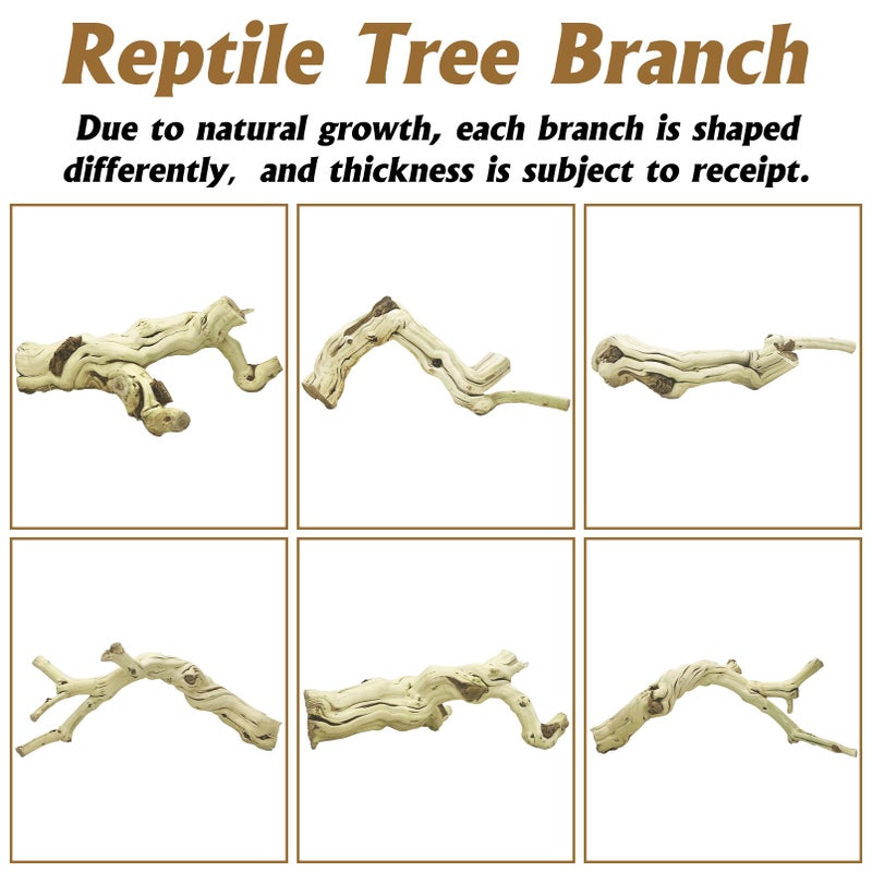VCEPJH Large Snake Climbing Branch Decor 15.5 in Natural Reptile Wood Cork Log Bearded Dragon Tank Accessories Tree Trunk for Chameleon Gecko Ball Python Frog - Image 4