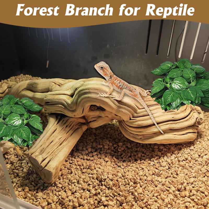 VCEPJH Large Snake Climbing Branch Decor 15.5 in Natural Reptile Wood Cork Log Bearded Dragon Tank Accessories Tree Trunk for Chameleon Gecko Ball Python Frog - Image 2