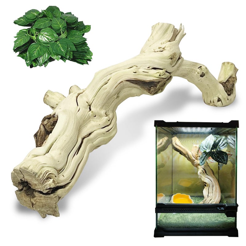 VCEPJH Large Snake Climbing Branch Decor 15.5 in Natural Reptile Wood Cork Log Bearded Dragon Tank Accessories Tree Trunk for Chameleon Gecko Ball Python Frog - Image 1