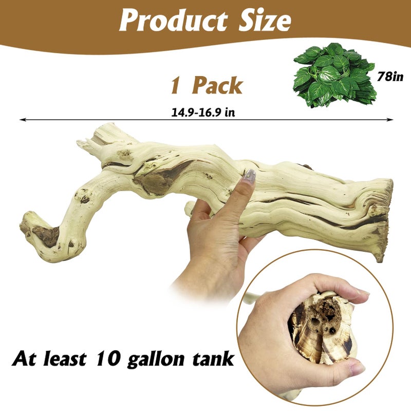 VCEPJH Large Snake Climbing Branch Decor 15.5 in Natural Reptile Wood Cork Log Bearded Dragon Tank Accessories Tree Trunk for Chameleon Gecko Ball Python Frog - Image 3
