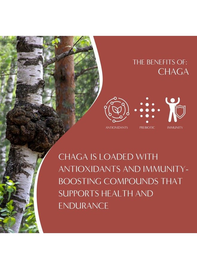 teeccino Chaga Ashwagandha Butterscotch Cream Organic Mushroom Adaptogen Herbal Tea Foil Bag 284 g - Image 5