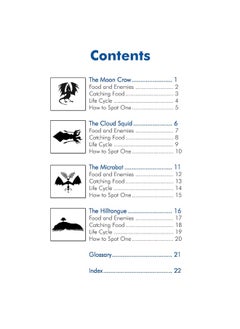 KS2 Monsters from the Sky Reading Book  - Image 2