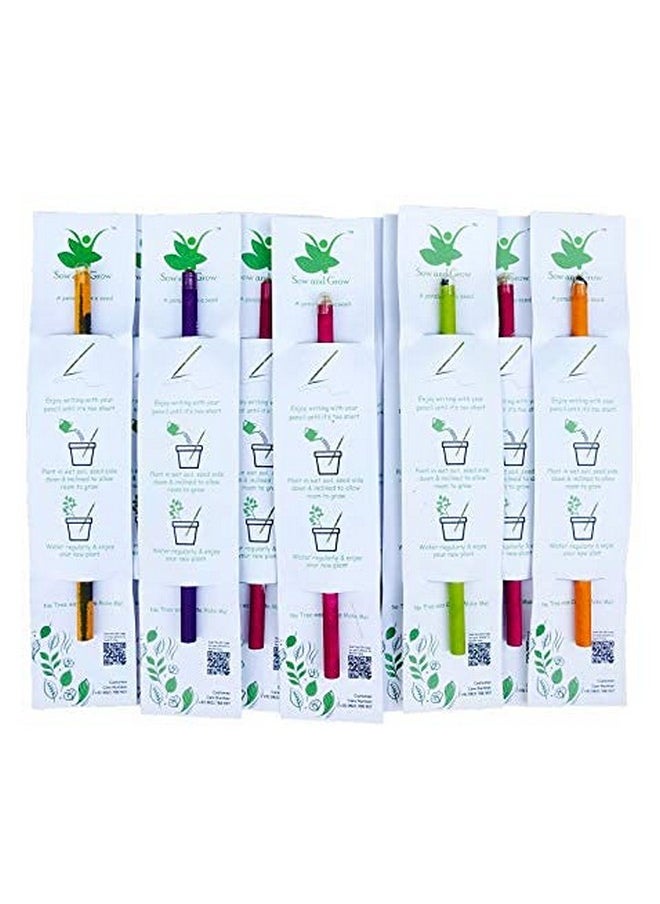 Sow and Grow Sow and Grow Plantable Seed Pencils (Pack Of 50 Single Pencils) Made With 100% Recycled Paper | Eco Friendly | Return Gift | Corporate Gifting, Green , Black  - Image 1