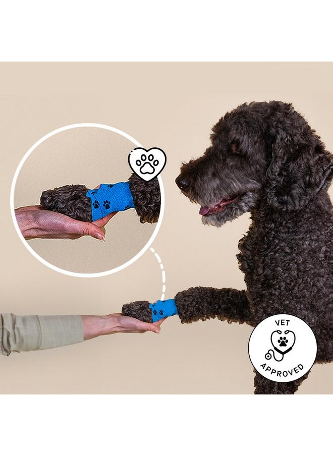 PATCH PATCH Eco Pet First Aid Kit for Dogs and Cats. Cat and Dog First Aid Kit with Bandages, Gauze Pads, Tweezers, Scissors, Dog Tick Remover &. Glove. Emergency First Aid Kit for Animals Including Puppy  - Image 5