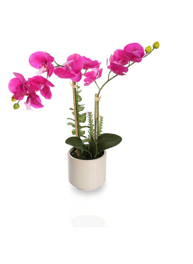 Real Touch Orchid in Ceramic Pot 47cm - pzsku/ZBC2EA0AC0B393E54BCC6Z/45/_/1687445822/ccf599a3-5318-49a5-ba03-22591de5d75a