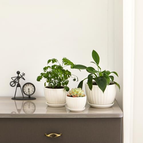 STHIE Ceramic Plant Pots with Drainage Holes and Saucers, Round White Flower Pots for Indoor Plant, Diameter 3.3/4.3/5.5 Inches Small Flower Planters Set of 3 - Image 4