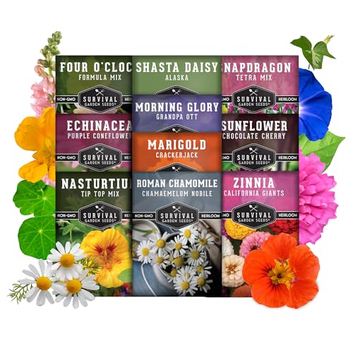 SURVIVAL GARDEN SEEDS 10 Flower Seed Collection for Planting | Zinnia, Sunflower, Marigold, Snapdragon, Nasturtium, Morning Glory, Chamomile, Shasta Daisy, Purple Coneflower, Four O’Clock - Survival Garden Seeds - Image 5