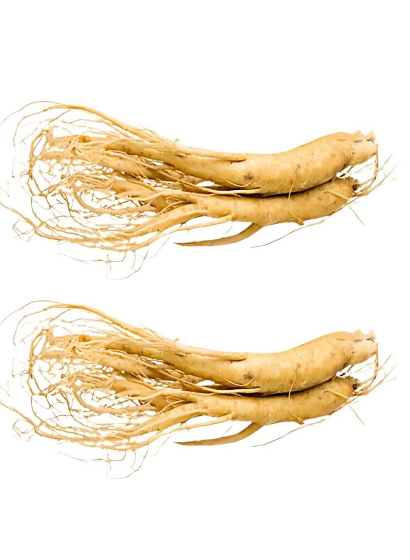 Nicense 6 Years Ginseng Changbai-Mountain Dried Ginseng Root,Organic Chinese Herb 500g - Nicense - Image 2