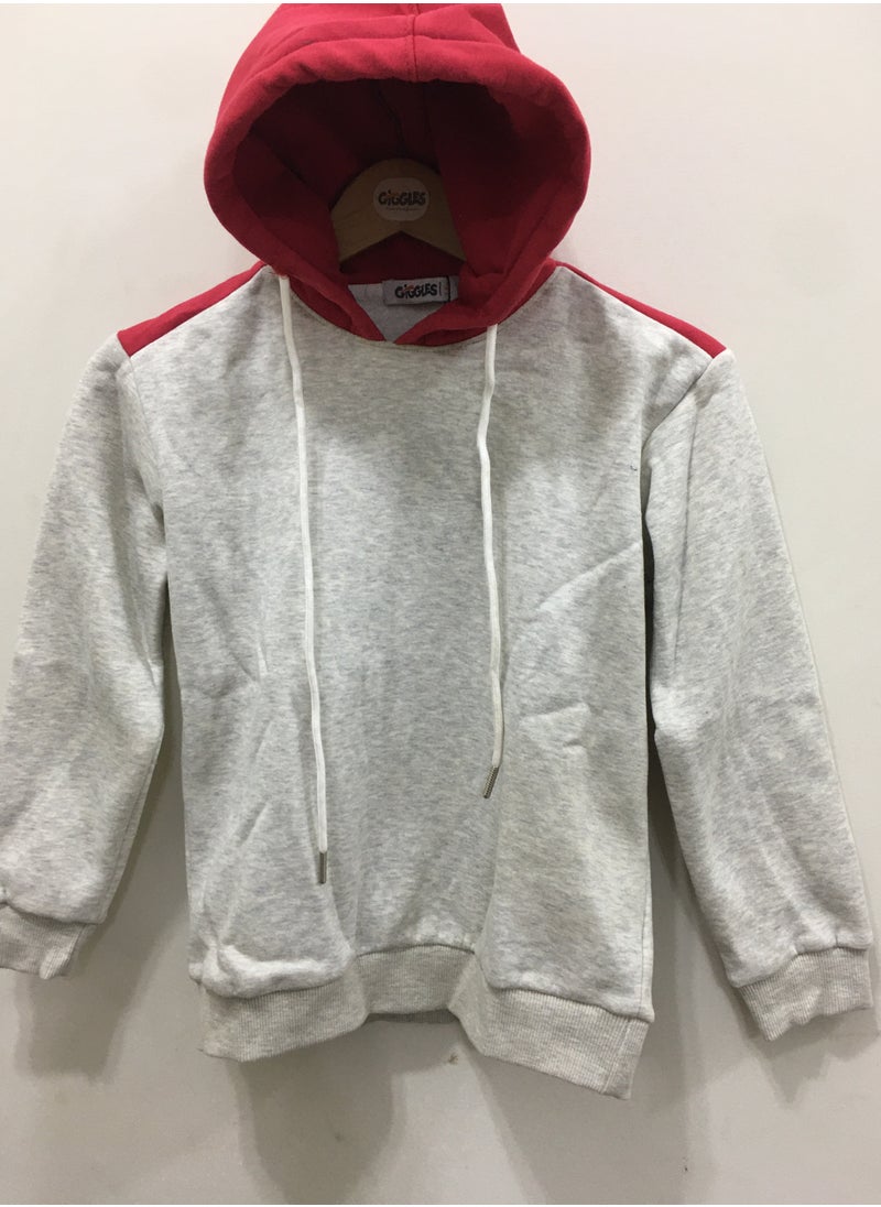 Boys Sweatshirt - pzsku/ZBC3474D1CEF6D52D8B23Z/45/_/1696946307/33e1c735-4fa6-4c37-9462-47c33a6eef1b