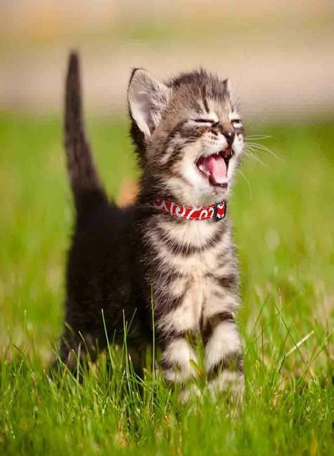 Campsis 2PCS Cat Collars with Bowtie Breakaway Cat Collar with Bell Adjustable Safety Kitten Collar with Removable Bow and Bell for Boy Cats Girl Cats - Image 2