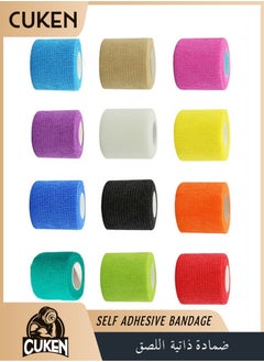 12 color