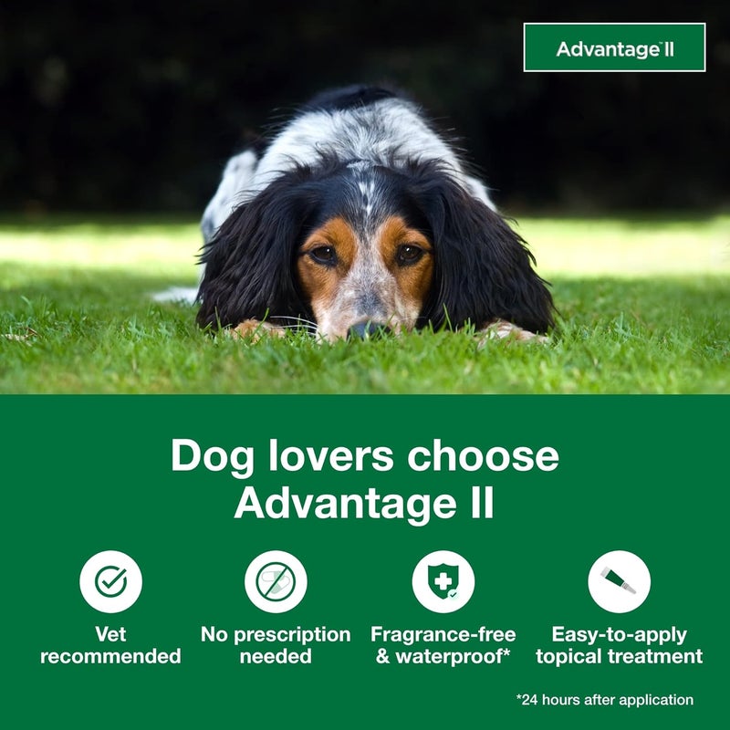 Advantage II Topical Flea Treatment for Medium Dogs, 11-20 lbs - 6 Monthly Doses - Image 3