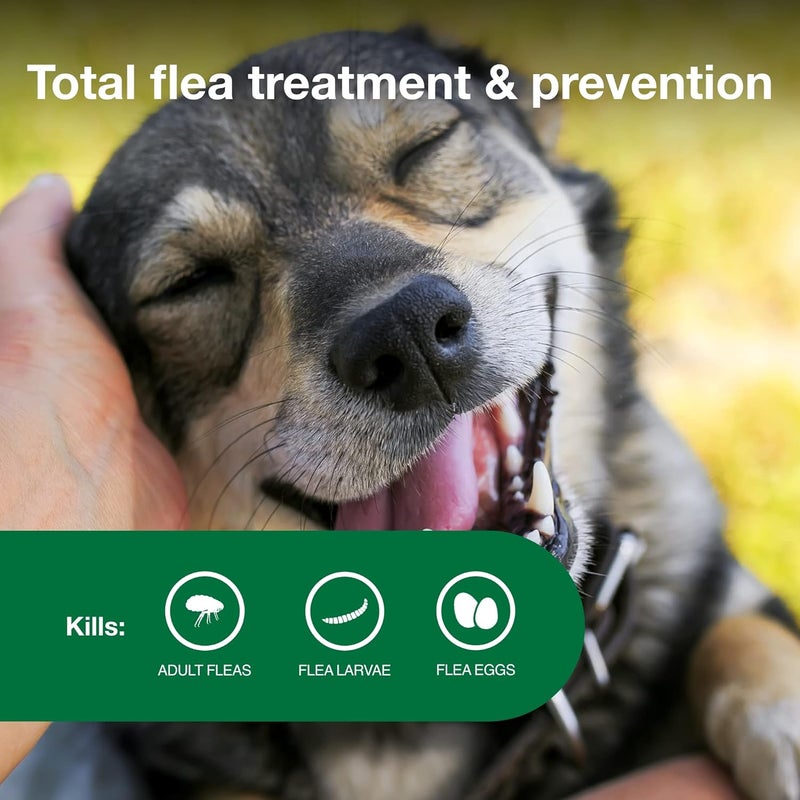 Advantage II Topical Flea Treatment for Medium Dogs, 11-20 lbs - 6 Monthly Doses - Image 4
