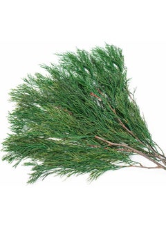 Generic Tavkite 4OZ Preserved Real Pine Leaves Branches -17'' Natural Greenery Plants Pine Twigs Stems Pine Needles Evergreen Picks for Garland Wreath Xmas Wedding Home Party Decor Indoor Outdoor Decoration  - Image 1