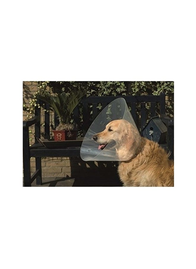 beeztees - Beeztees Plastic Dog Cap - 28-33 12.5 Cm - Image 1