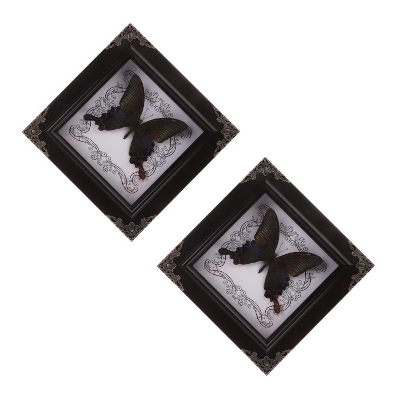 2pcs Butterfly Display Frame Butterfly Specimen Framed Display - Image 4