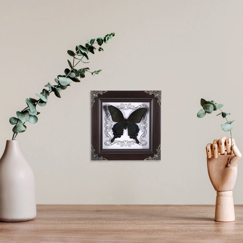 2pcs Butterfly Display Frame Butterfly Specimen Framed Display - Image 3