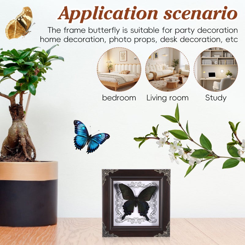 2pcs Butterfly Display Frame Butterfly Specimen Framed Display - Image 2