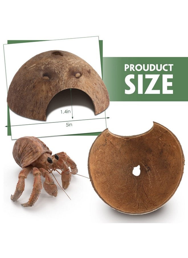 Woanger - 6 Pcs Coconut Shell Reptile Hideouts Hut Reptile Hides and Caves Coconut Hide for Reptile Small Animal Hide Cave Hut for Leopard Gecko Snake Aquarium Fish Lizard Hermit Crab Supplies House Accessories - Image 1