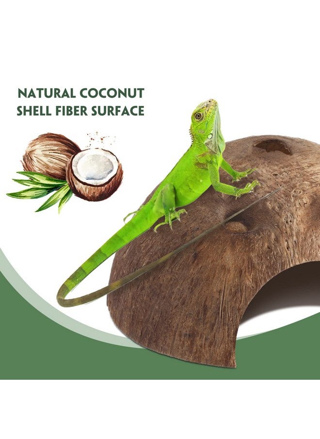 Woanger - 6 Pcs Coconut Shell Reptile Hideouts Hut Reptile Hides and Caves Coconut Hide for Reptile Small Animal Hide Cave Hut for Leopard Gecko Snake Aquarium Fish Lizard Hermit Crab Supplies House Accessories - Image 1