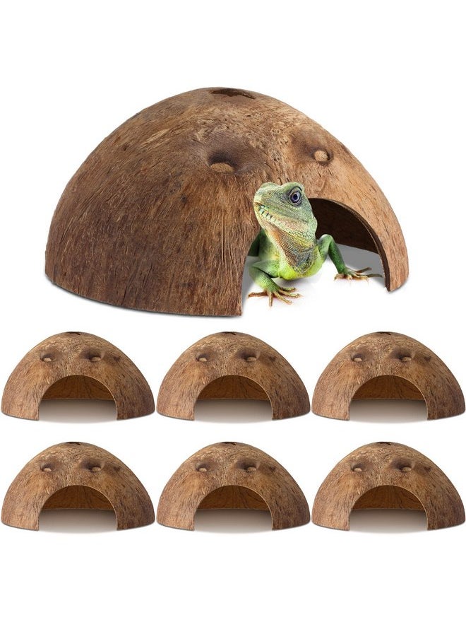 Woanger - 6 Pcs Coconut Shell Reptile Hideouts Hut Reptile Hides and Caves Coconut Hide for Reptile Small Animal Hide Cave Hut for Leopard Gecko Snake Aquarium Fish Lizard Hermit Crab Supplies House Accessories - Image 1