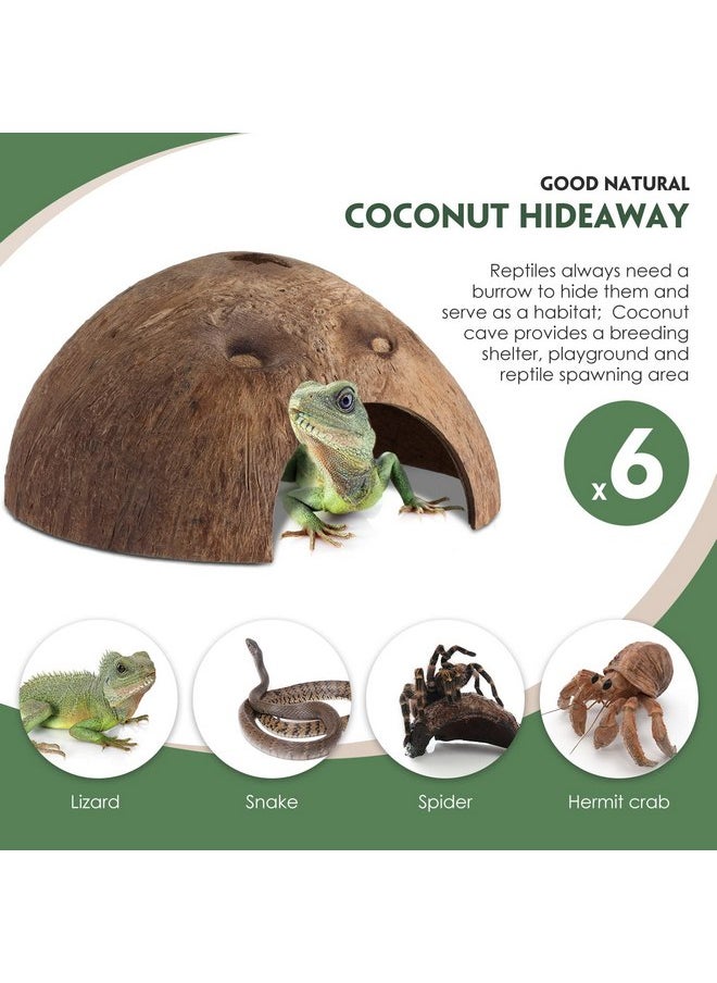 Woanger - 6 Pcs Coconut Shell Reptile Hideouts Hut Reptile Hides and Caves Coconut Hide for Reptile Small Animal Hide Cave Hut for Leopard Gecko Snake Aquarium Fish Lizard Hermit Crab Supplies House Accessories - Image 1
