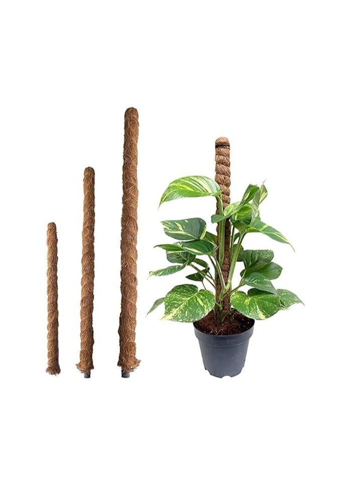 Generic 100cm Moss Stick for Plant Support Extension, Climbing Indoor/Outdoor Plants 3Pcs "Garden Care" 