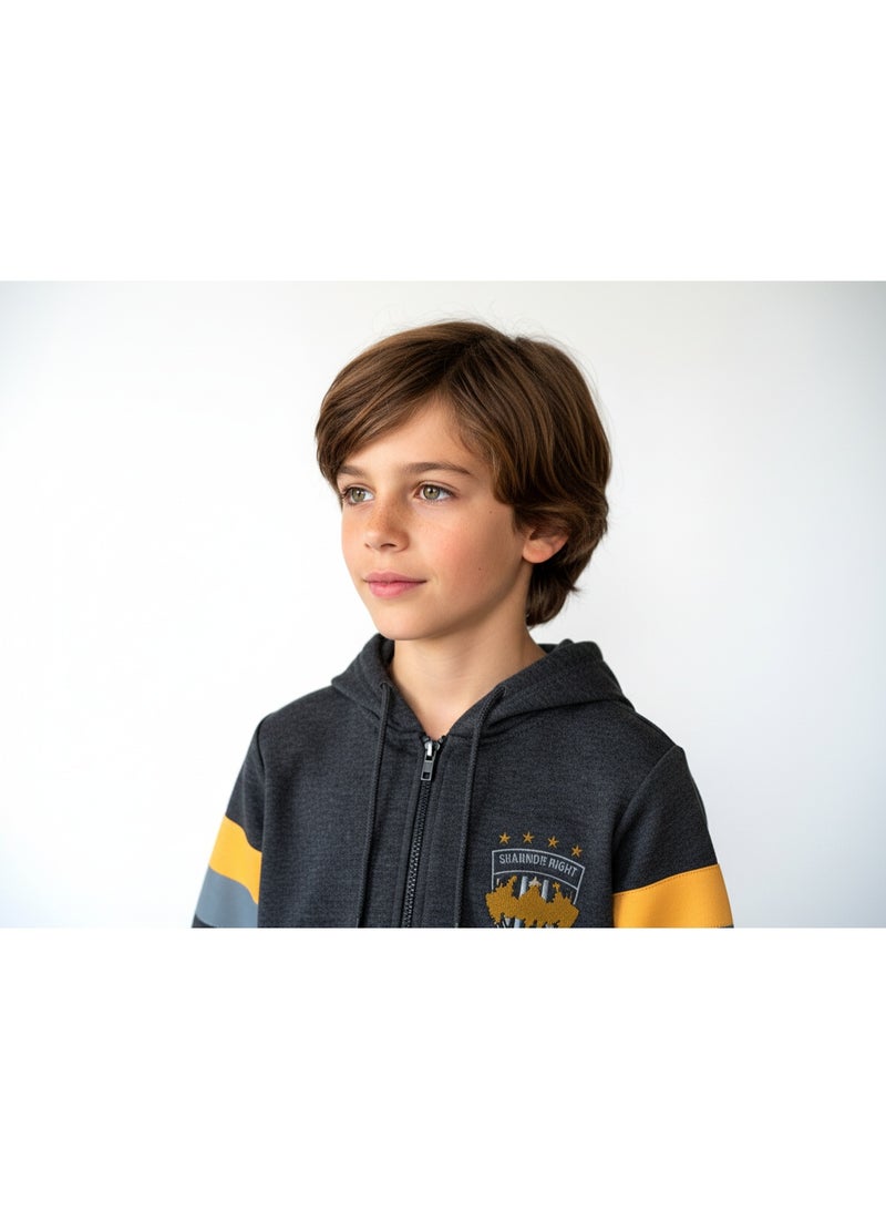 Batman هودي أولاد بطباعة باتمان بسحاب 2-8 سنوات ل/س HT-BHO014 - Image 3