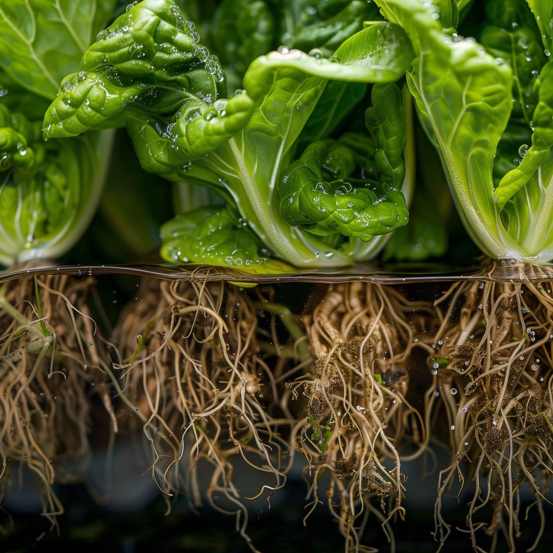 Danner دانيير مانيفاكتشرينغ، إنك. مضخة الهواء سوبرم هايدرو أوكسي-فلو، AP-4 مضخة هواء منخفضة الحجم، 3.5 واط، 40514 - Image 3