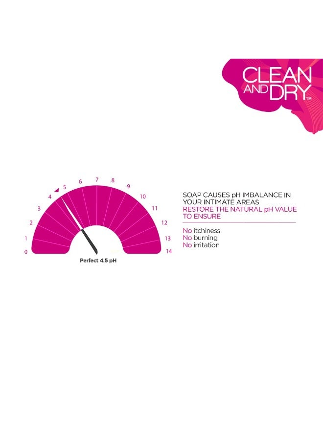 clean and dry CLEAN & DRY| Daily intimate wash| Hygiene for Women, Vaginal Wash, Smooths Skin | Anti-Bacterial and prevents infections | Restores pH Balanace| No itching, Burning, white Discharge| 90ml pack of 2 - Image 2