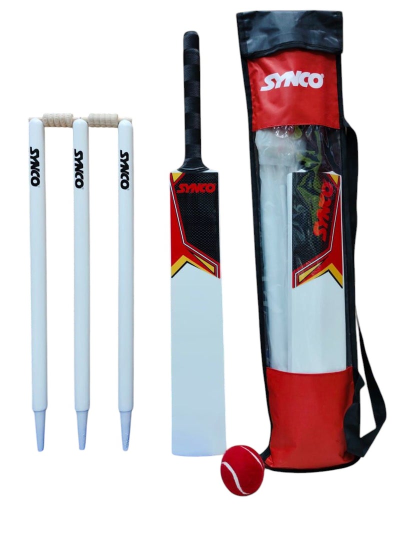 synco SYNCO Kids Cricket Set – Size 5 | Moulded wooden Bat with Rubber Grip, Soft Ball & Wicket Stumps | All-Weather Play Set for Children Ages 4-11 for noon - Image 2