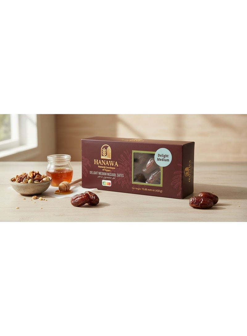 HANAWA Premium Egyptian Medjool Dates 450g – Large, Soft & Tender Dates – Rich Taste, Naturally Delicious – Ideal for Snacking, Gifting & Hospitality - Image 3