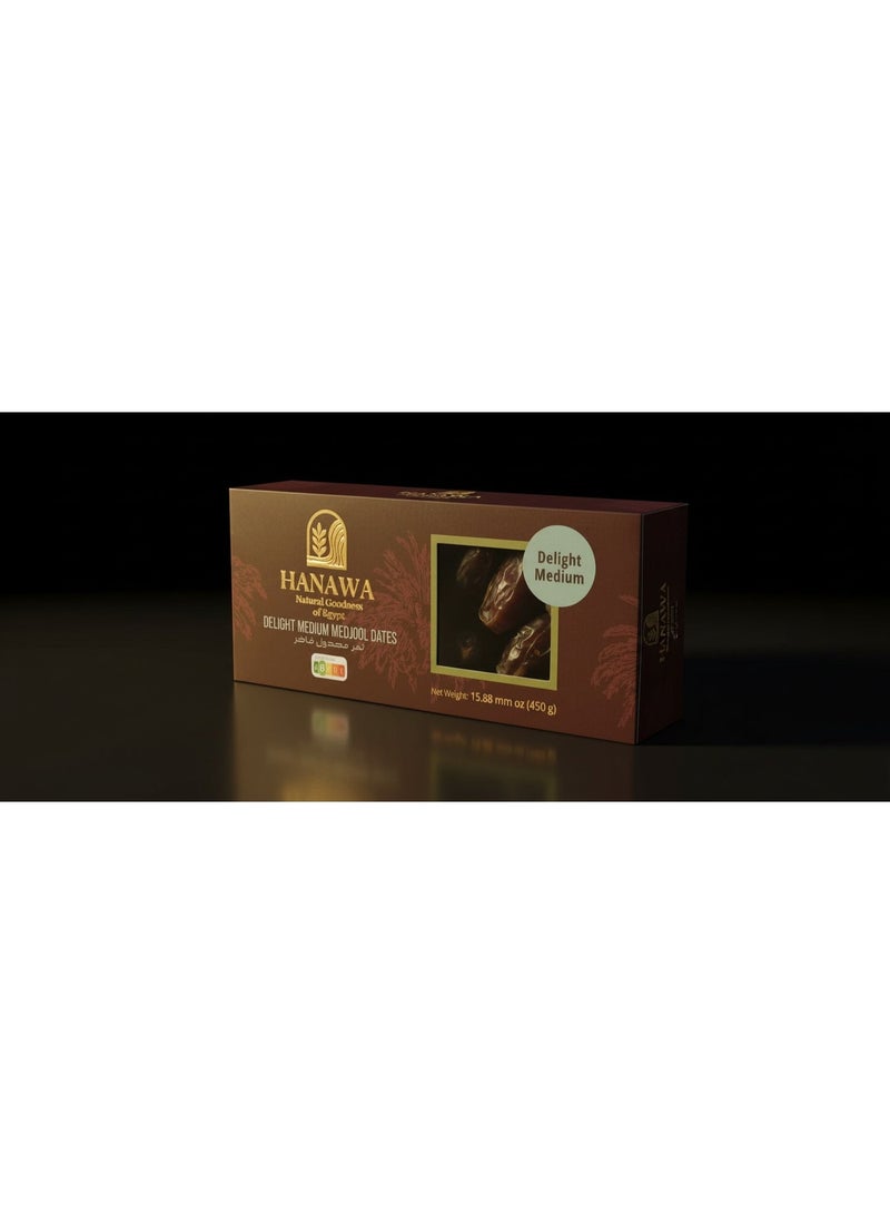HANAWA Premium Egyptian Medjool Dates 450g – Large, Soft & Tender Dates – Rich Taste, Naturally Delicious – Ideal for Snacking, Gifting & Hospitality - Image 2