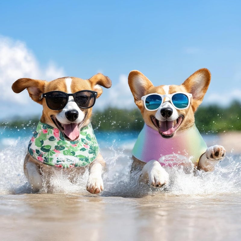 أوول فور بوز مجموعة "ALL FOR PAWS" المكونة من وشاحين تبريد للكلاب، طوق تبريد ولفافة رقبة للكلاب، أوشحة تبريد جليدية للكلاب الكبيرة، طوق تبريد "بلو تشيل أوت" (مقاس XL، محيط الرقبة 20.8-24.4 بوصة) - Image 5