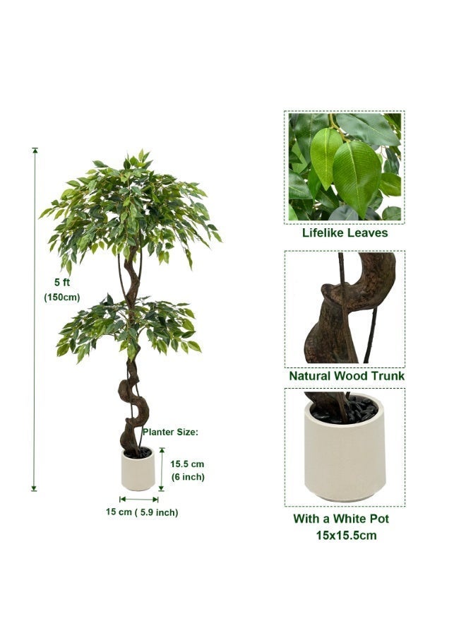 ميراج بوتانيكس 150 سم كبيرة Ficus الأشجار الاصطناعية في وعاء أبيض ، شجرة حرير مزيفة طويلة 5 أقدام مع الجذع المنحني الطبيعي ، شجرة Ficus الزائفة الخصبة للديكور المنزلي الداخلي ، غرفة المعيشة ، المكتب والفناء - Image 3