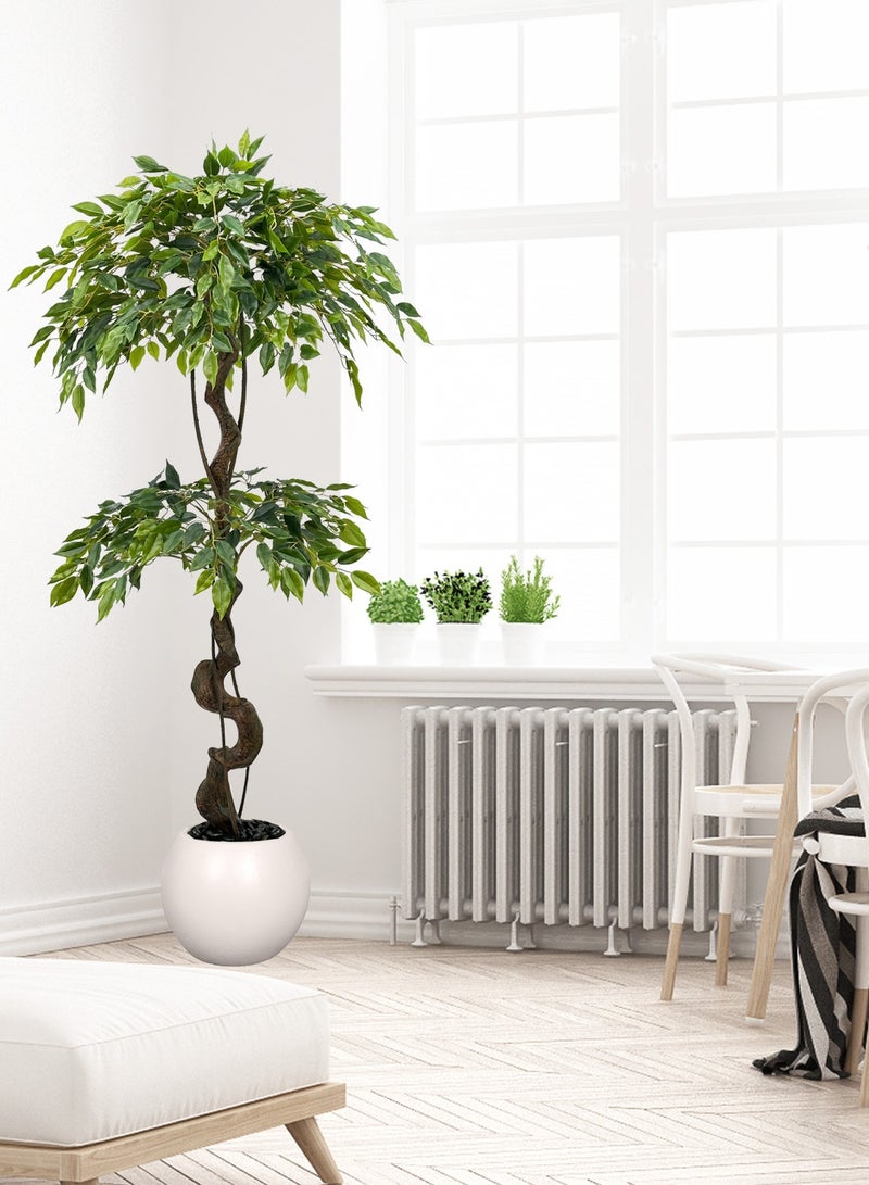 ميراج بوتانيكس 150 سم كبيرة Ficus الأشجار الاصطناعية في وعاء أبيض ، شجرة حرير مزيفة طويلة 5 أقدام مع الجذع المنحني الطبيعي ، شجرة Ficus الزائفة الخصبة للديكور المنزلي الداخلي ، غرفة المعيشة ، المكتب والفناء - Image 1