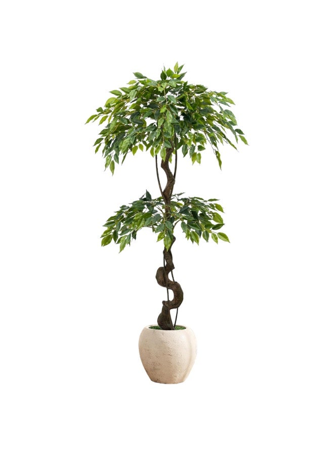 ميراج بوتانيكس 150 سم كبيرة Ficus الأشجار الاصطناعية في وعاء أبيض ، شجرة حرير مزيفة طويلة 5 أقدام مع الجذع المنحني الطبيعي ، شجرة Ficus الزائفة الخصبة للديكور المنزلي الداخلي ، غرفة المعيشة ، المكتب والفناء - Image 1