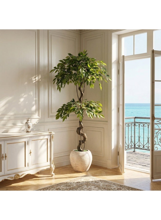 ميراج بوتانيكس 150 سم كبيرة Ficus الأشجار الاصطناعية في وعاء أبيض ، شجرة حرير مزيفة طويلة 5 أقدام مع الجذع المنحني الطبيعي ، شجرة Ficus الزائفة الخصبة للديكور المنزلي الداخلي ، غرفة المعيشة ، المكتب والفناء - Image 3