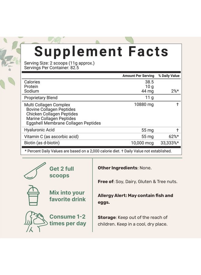 Micro Ingredients Multi Collagen Protein Powder 2 Pounds Type Iiiiiivx With Biotin 10000Mcg Hyaluronic Acid Vitamin C Unflavored Collagen Peptides Keto & Paleo Friendly Easy Dissolve Nongmo  - Image 3
