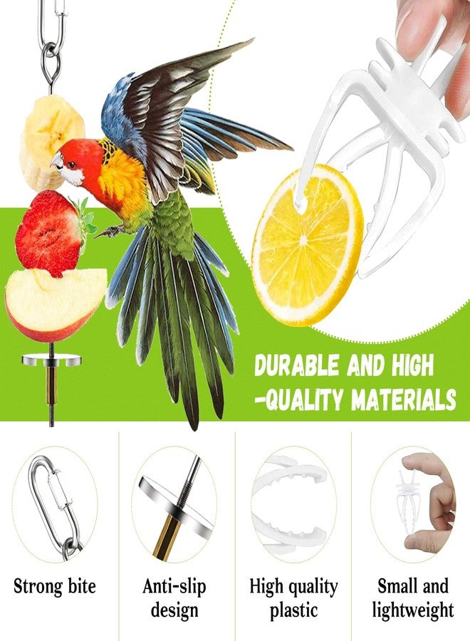 JIURUN 6 PCS Bird Treats Skewer, Parakeet Hanging Food Holder, Stainless Steel Fruit Vegetable Stick Holder, Cockatoo Cockatiel Cage Treating Tool, Hanging Foraging Bird Toys - Image 3
