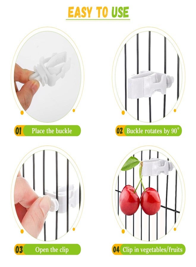 JIURUN 6 PCS Bird Treats Skewer, Parakeet Hanging Food Holder, Stainless Steel Fruit Vegetable Stick Holder, Cockatoo Cockatiel Cage Treating Tool, Hanging Foraging Bird Toys - Image 5