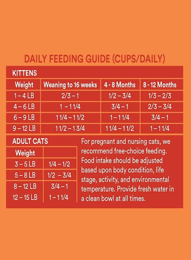 WholeHearted Grain-Free Chicken Recipe Dry Kitten Food 12 lbs. - Image 5