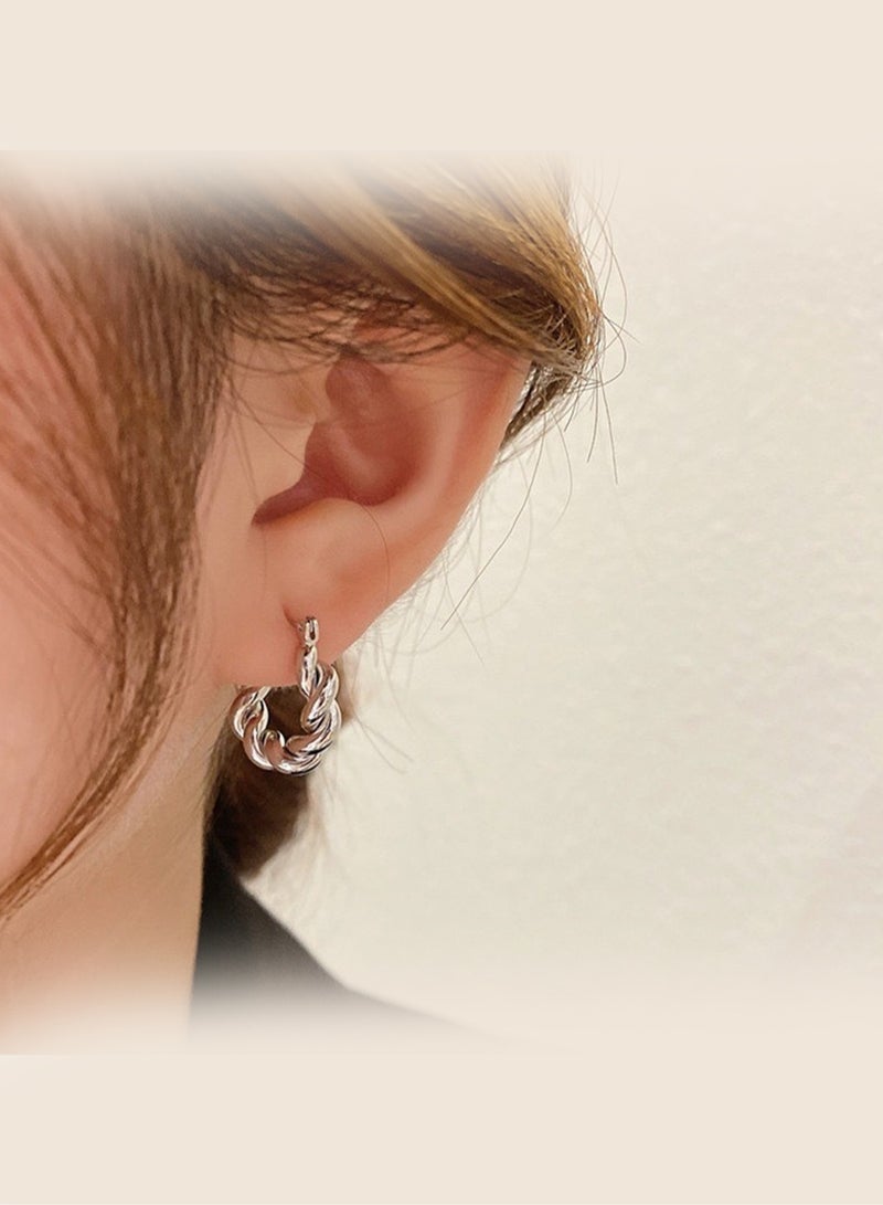 High-end atmospheric circle twist earrings metal electroplating ins trendy earrings for women - Image 2