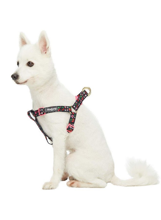 Blueberry Pet Blueberry Pet 9 Patterns Step-in Cherry Garden Black Dog Harness, Chest Girth 16.5" - 21.5", Small, Adjustable Harnesses for Dogs  - Image 1