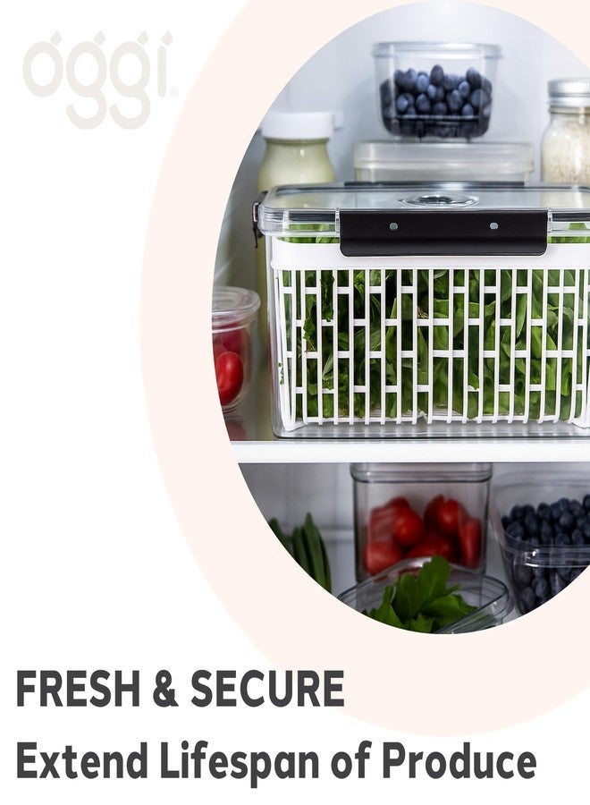 Oggi Produce Containers for Fridge with Time Tracking - Ideal for Fruit, Berry and Vegetable Storage, Lettuce Keeper - 13x7x5.75˝ - Image 4