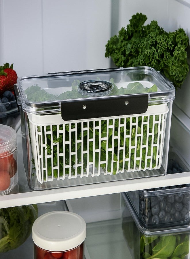 Oggi Produce Containers for Fridge with Time Tracking - Ideal for Fruit, Berry and Vegetable Storage, Lettuce Keeper - 13x7x5.75˝ - Image 3