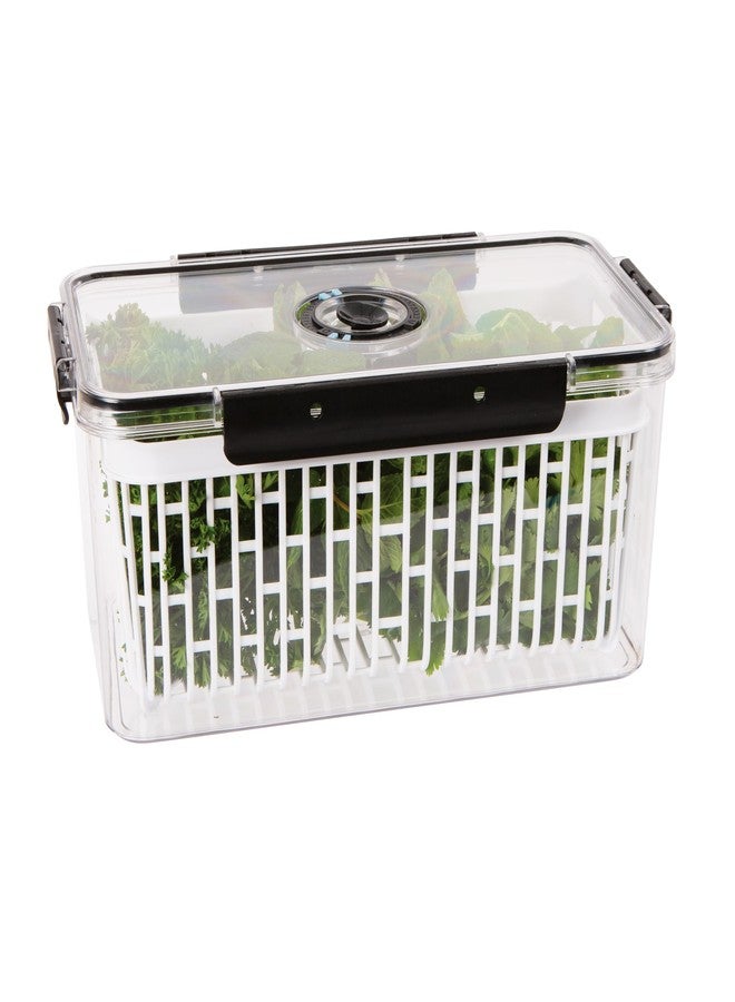 Oggi Produce Containers for Fridge with Time Tracking - Ideal for Fruit, Berry and Vegetable Storage, Lettuce Keeper - 13x7x5.75˝ - Image 1