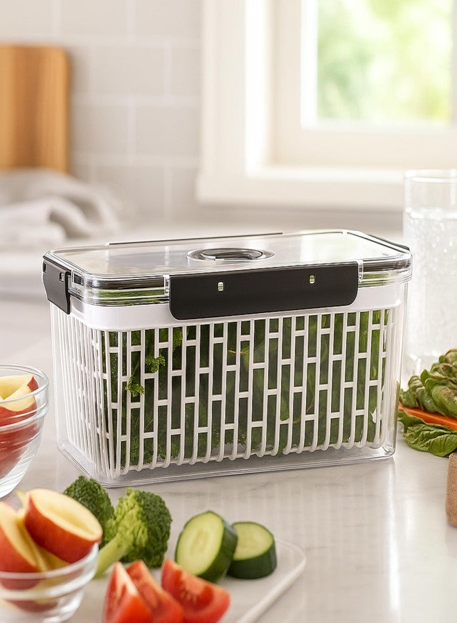 Oggi Produce Containers for Fridge with Time Tracking - Ideal for Fruit, Berry and Vegetable Storage, Lettuce Keeper - 13x7x5.75˝ - Image 5