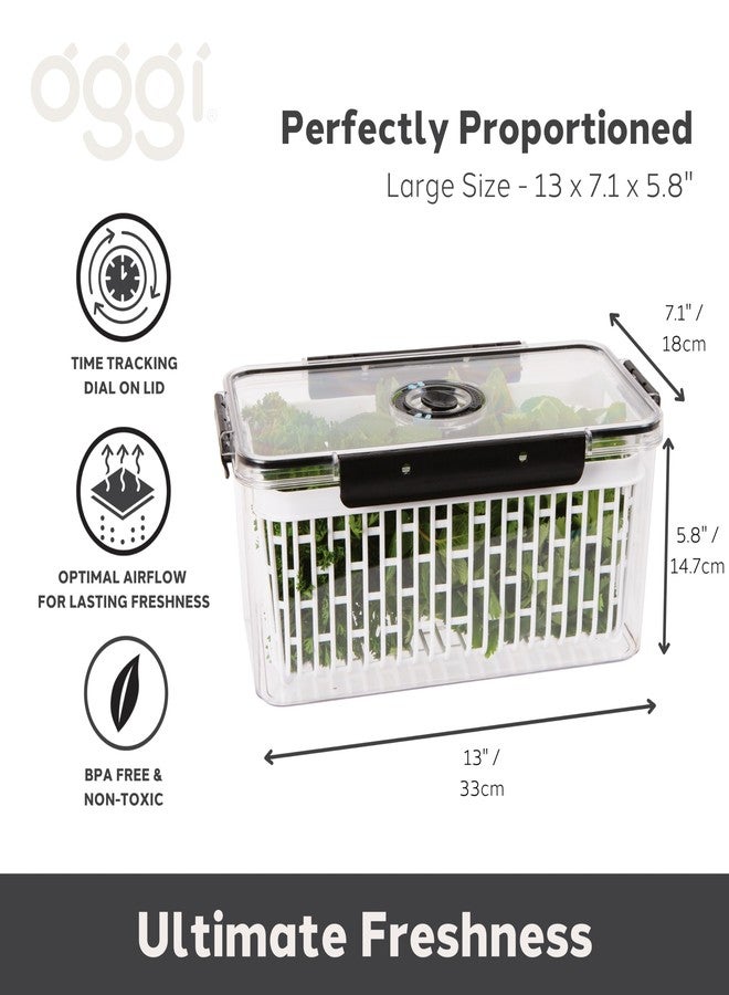 Oggi Produce Containers for Fridge with Time Tracking - Ideal for Fruit, Berry and Vegetable Storage, Lettuce Keeper - 13x7x5.75˝ - Image 2