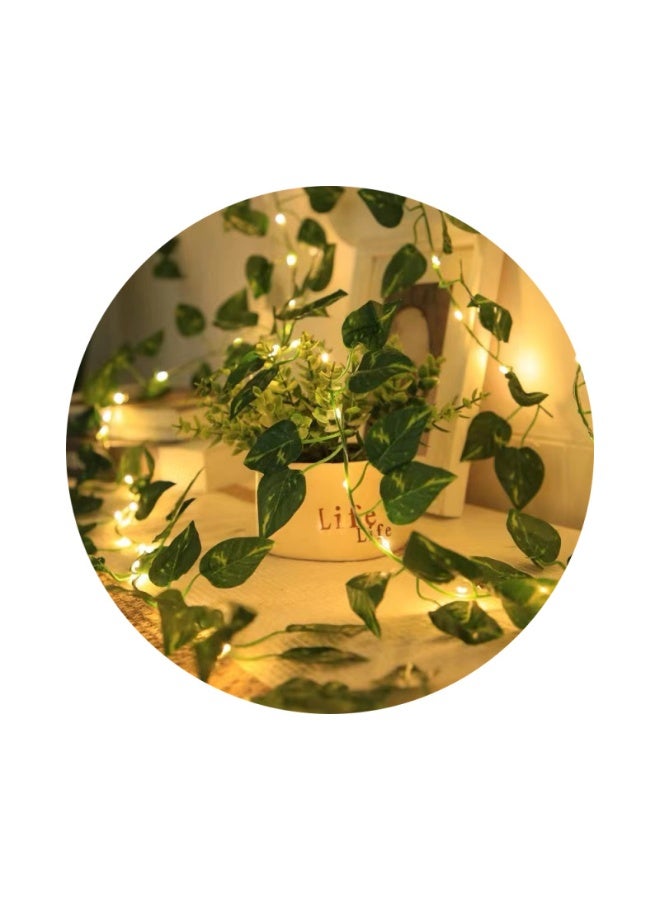 ماركة غير محددة أضواء خيطية على شكل أوراق، 32.8 قدم أضواء LED بخيوط مع 100 ضوء LED معلق لتزيين غرفة النوم، مصباح خيط زخرفي بموضوع أوراق مونستيرا الخضراء  - Image 5